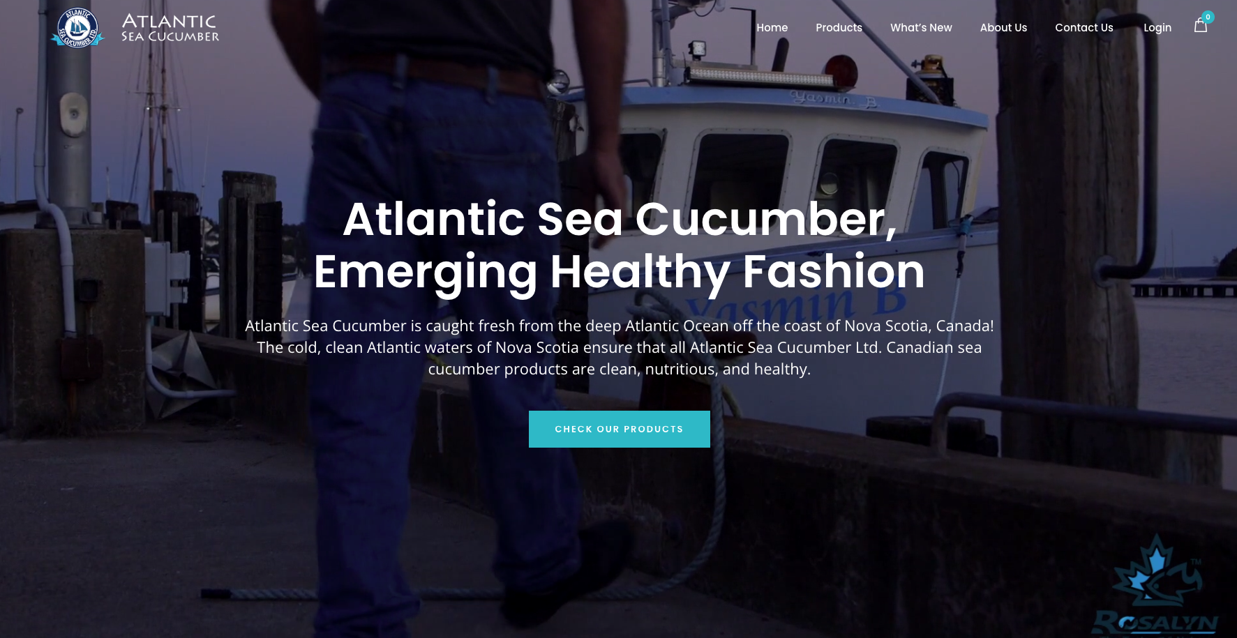 Online Shop: Atlantic Sea Cucumbers